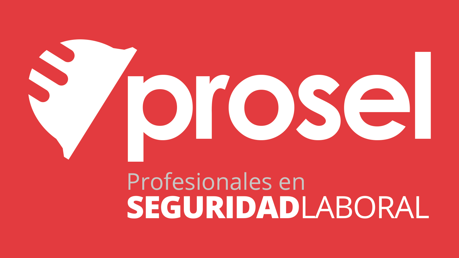 Profesionales en Seguridad Laboral